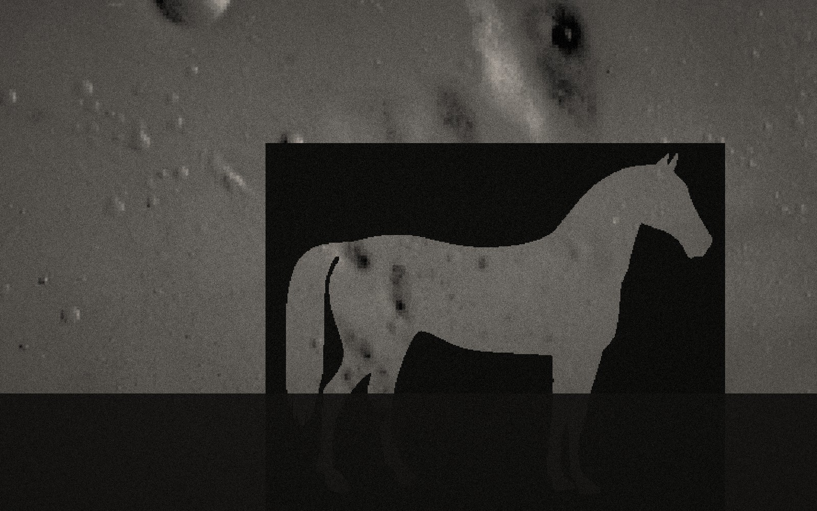 Horse silhouette in a landscape